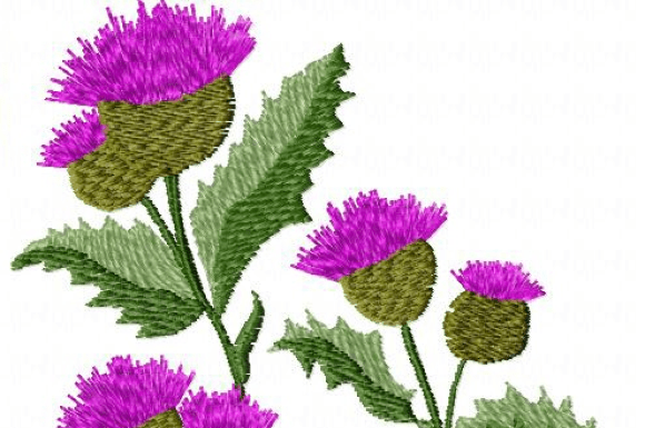 Wildflowers: A Seasonal Embroidery Design Review